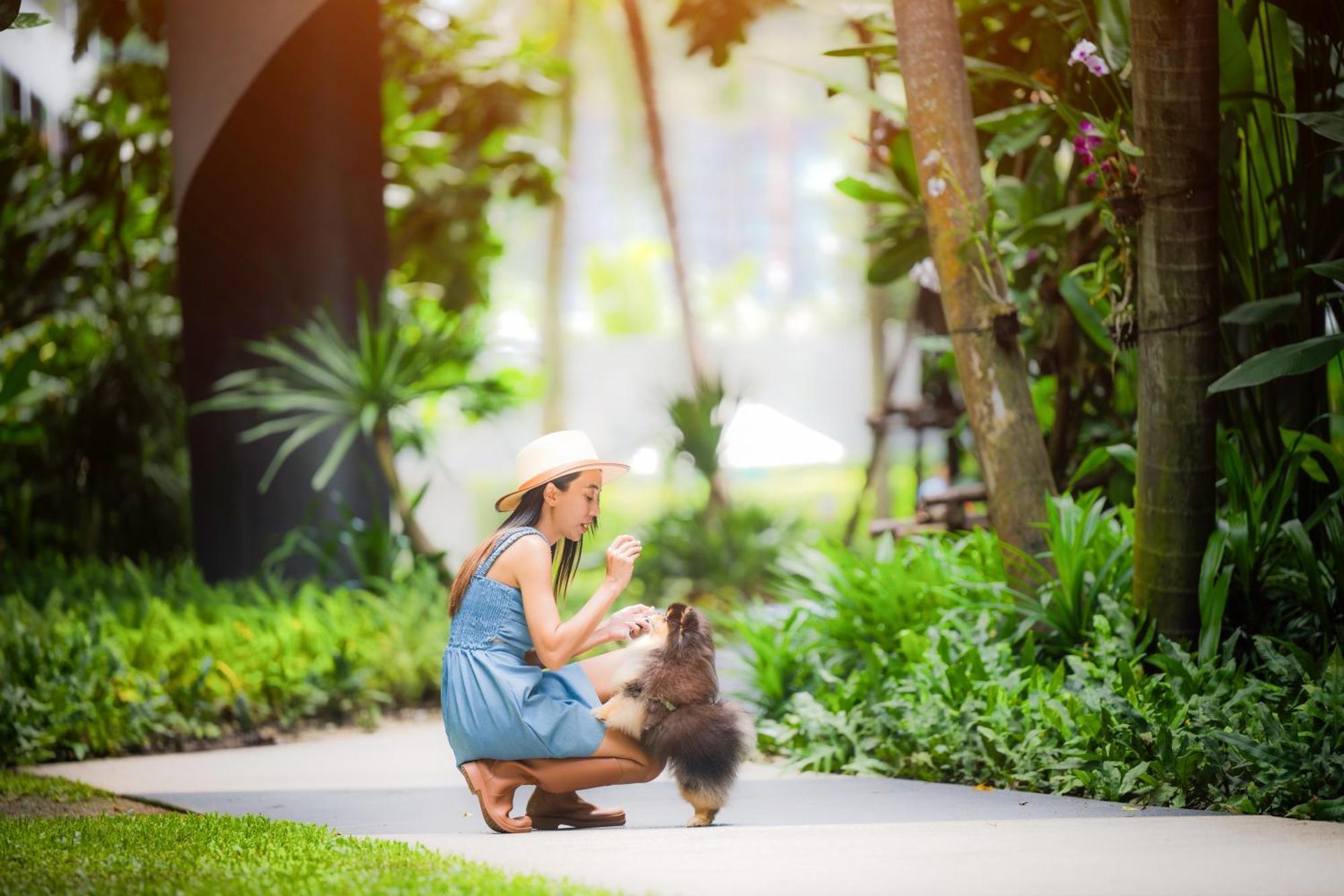 Homa Town Hotel Phuket